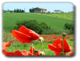 il magnifico panorama delle colline circostanti